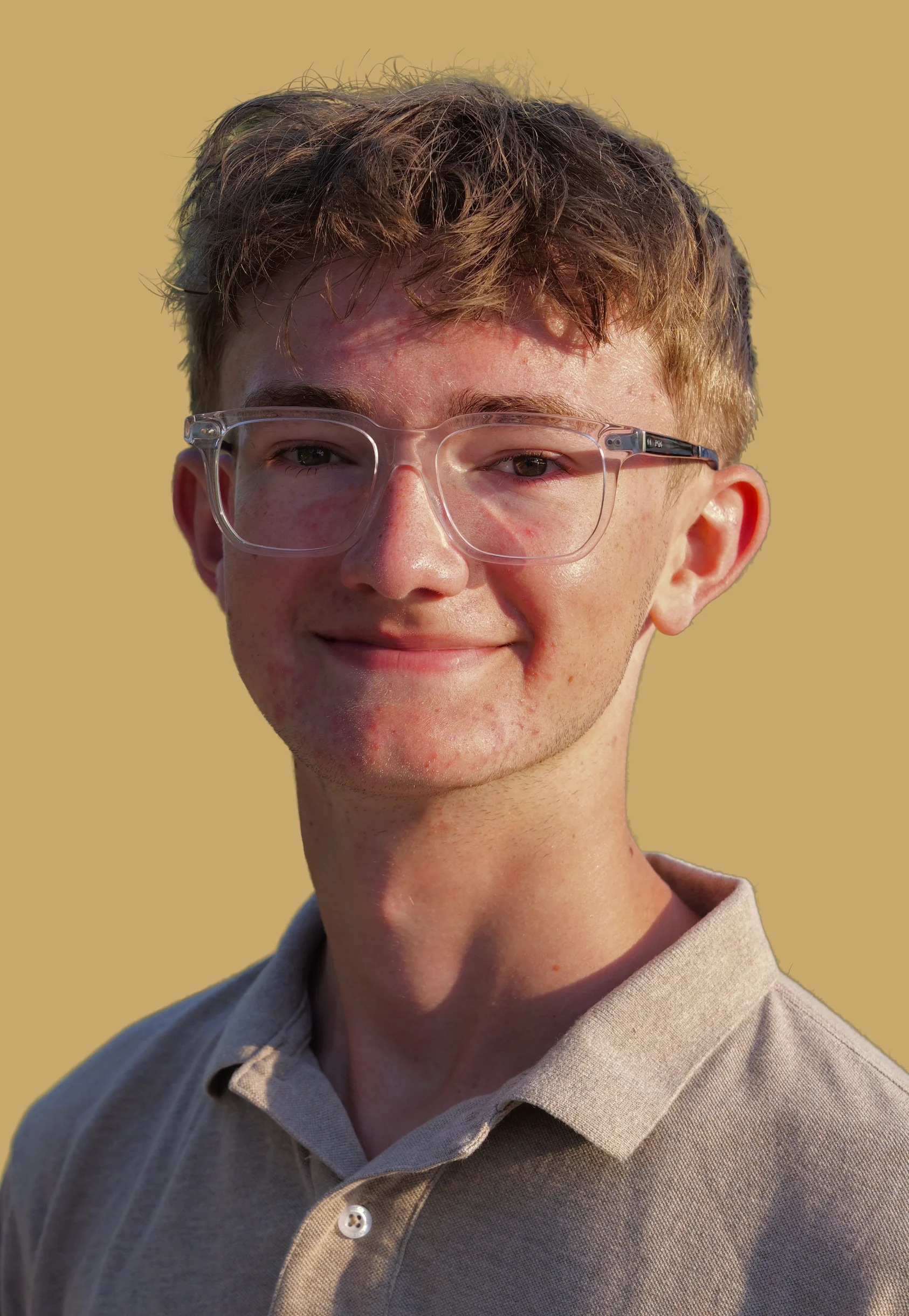 Felix Walter, Videograf